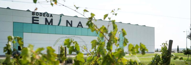 Billet Dégustation de vins et fromages au Musée du vin Emina