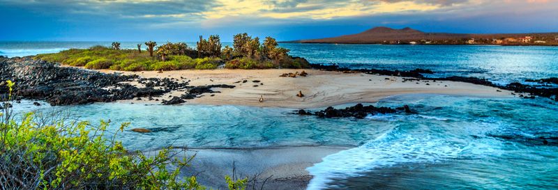 Billet Croisière de 8 jours au nord des îles Galápagos