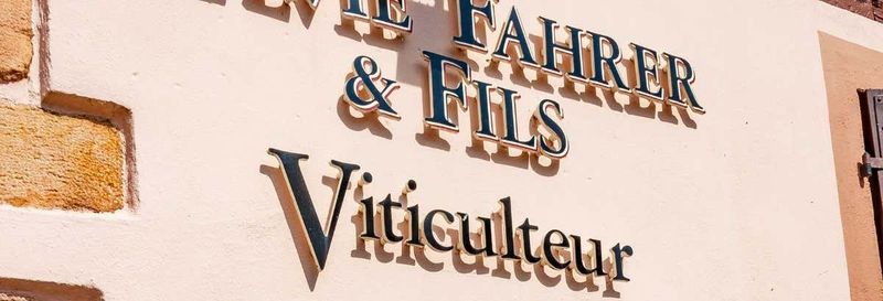 Billet Visites des caves à vin Sylvie Fahrer et Fils