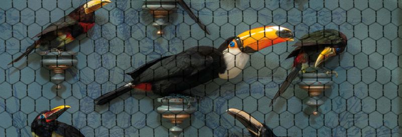 Billet Billet pour Art Zoo Museum avec audioguide