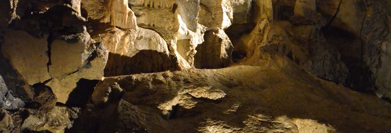 Billet Visite de la grotte d'Aillwee + Centre des oiseaux de proie du Burren
