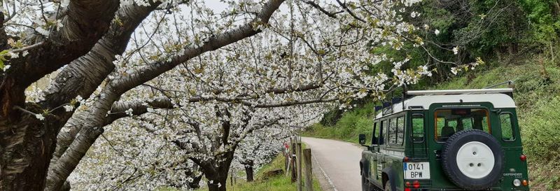 Billet Balade en 4x4 dans la Gorge des enfers et à Los Pilones