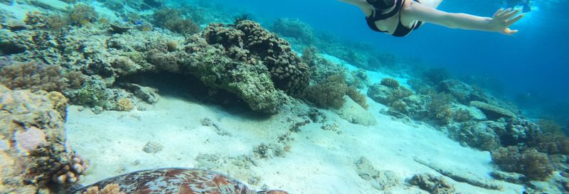 Billet Snorkeling à Gili Meno