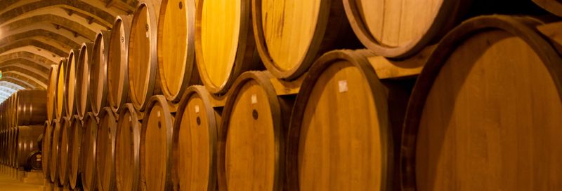 Billet Excursion au domaine viticole de Concha y Toro