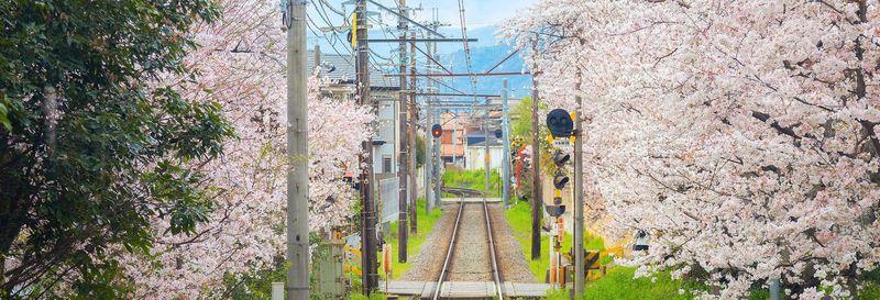 Billet Haruka Express, train entre l'aéroport de Kansai et Kyoto ou Osaka