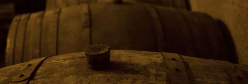 Billet Visite des vignobles Bodegas Monje