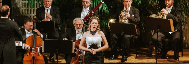 Billet Concert de l'Orchestre Hofburg de Vienne au Konzerthaus