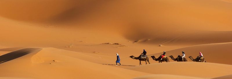 Billet Balade en chameau dans le désert avec dîner-spectacle