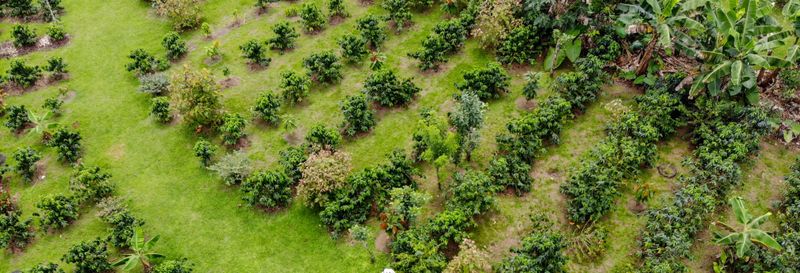 Billet Visite autour du café et du chocolat