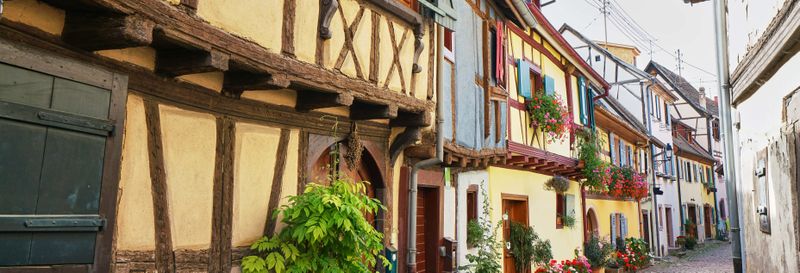Billet Visite dans Eguisheim et Kaysersberg + Dégustation de vins