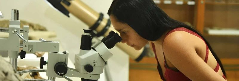 Billet Visite du musée d'histoire naturelle de la Tatacoa + Atelier sur les fossiles