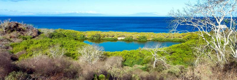 Billet Croisière de 4 jours dans les îles centrales des Galápagos