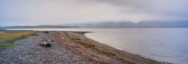 Billet Route du Crabe + Observation de pingouins sur l'île Martillo