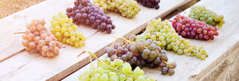 Billet Dégustation de vins en Cappadoce