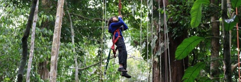 Billet Nuit dans la réserve naturelle de Tanimboca