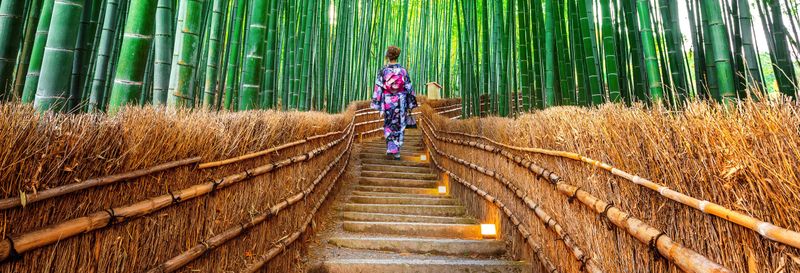 Billet Excursion à Arashiyama, Kinkakuji et Nara