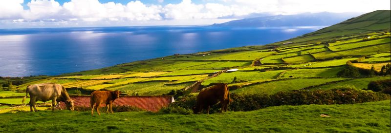 Billet Excursion à l'île de Corvo