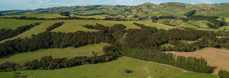 Billet Route des vins à Martinborough
