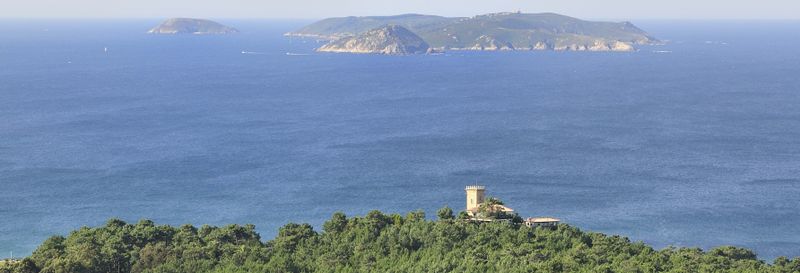 Billet Transfert à l’île Ons en bateau