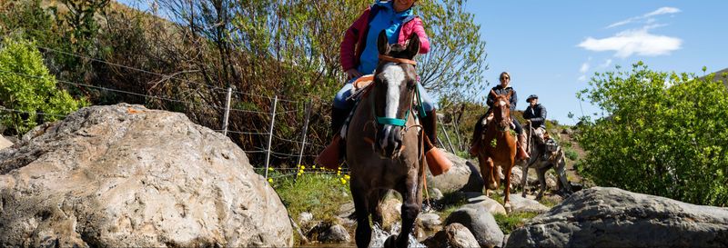 Billet Balade à cheval dans l'Estancia 25 de Mayo