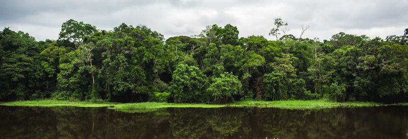 Billet Excursion au Parc national de la Mefou et à la réserve forestière d'Ebogo