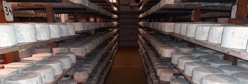 Billet Visite de la fromagerie Campoveja + Atelier de fabrication de fromage