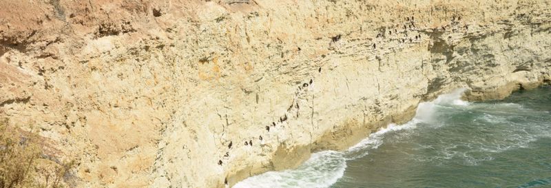 Billet Snorkeling avec les otaries à Punta Loma