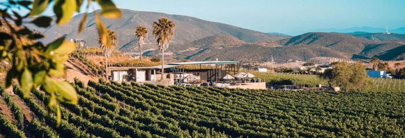 Billet Route des vins au Valle de Guadalupe