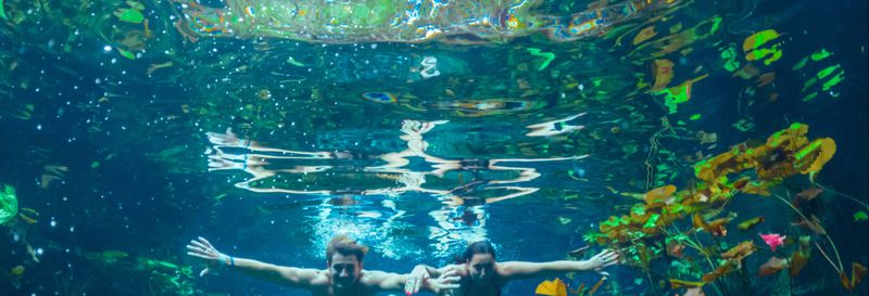 Billet Balade à cheval à Tulum + Snorkeling dans un cénote maya