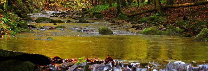 Billet Randonnée à la cascade de Guaratuba