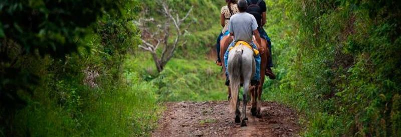 Billet Balade à cheval aux cascades Tocori