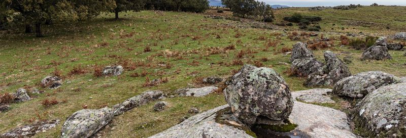 Billet Randonnée dans la forêt vettone de Cabezabellosa