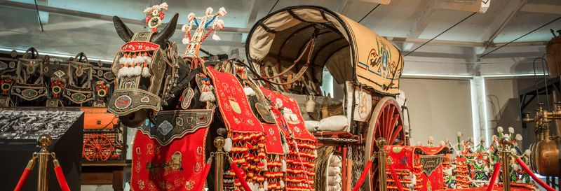 Billet Visite de la cave à vin Virgen de las Viñas + Musée d'art contemporain Infanta Elena