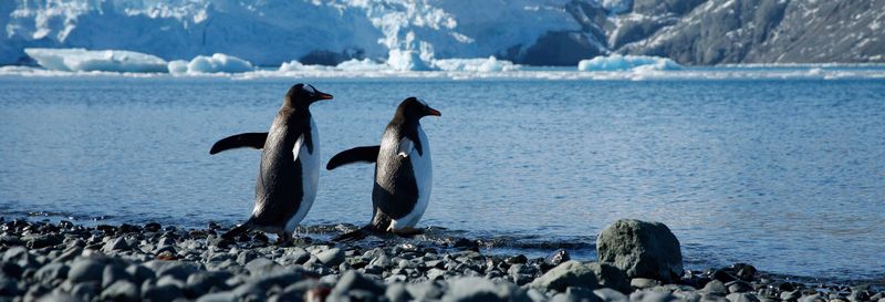 Billet Excursion en Antarctique en avion