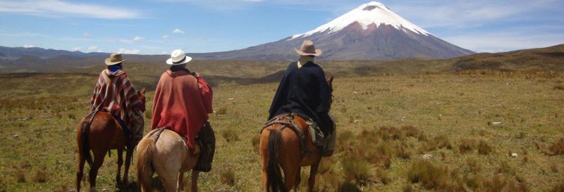 Billet Excursion au parc national Cotopaxi + Balade à cheval