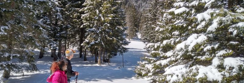 Billet Randonnée au parc national Piatra Craiului