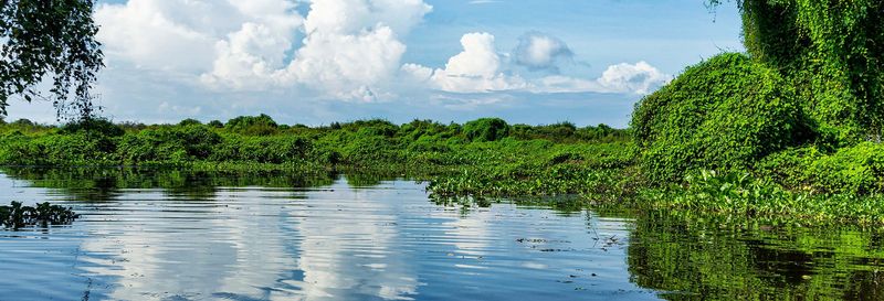Billet Balade en bateau sur le lac Tonlé Sap