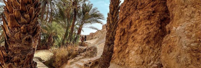 Billet Excursion de 2 jours dans le désert du Sahara