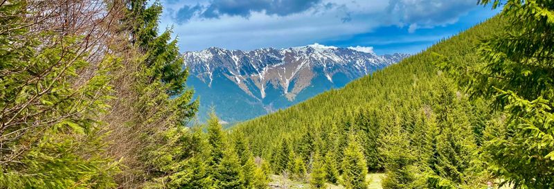 Billet Randonnée à Ciocanu