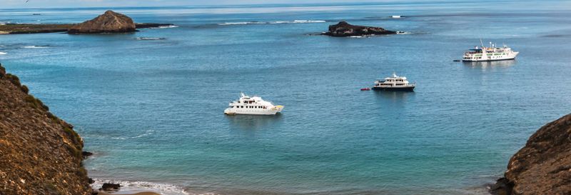 Billet Croisière de luxe de 5 jours aux îles Galápagos