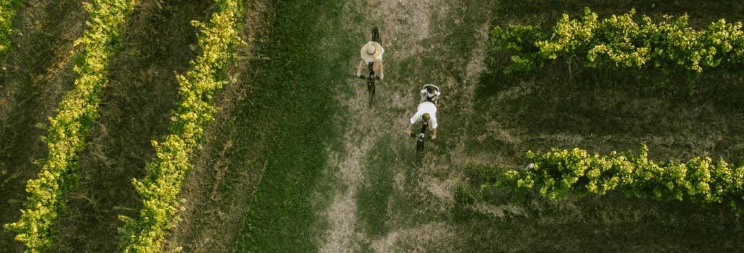 Billet Visite du domaine Corte Fornello + Location de vélo électrique