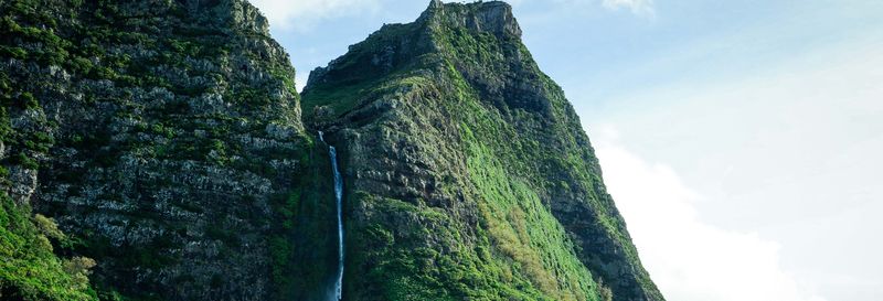 Billet Visite complète de l'île de Flores