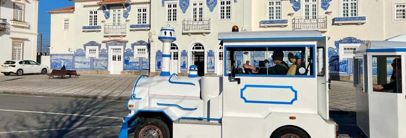 Billet Train touristique d'Aveiro + Balade en bateau moliceiro