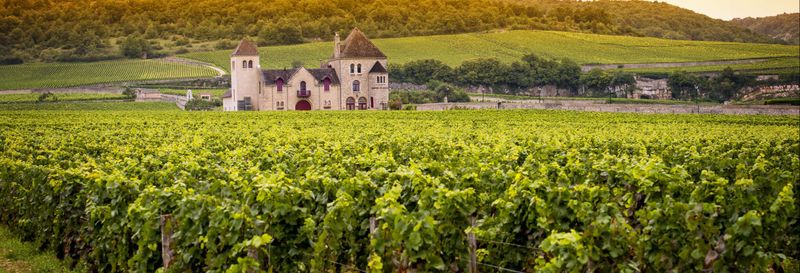 Billet Balade en 4x4 dans les vignobles de Bélesta