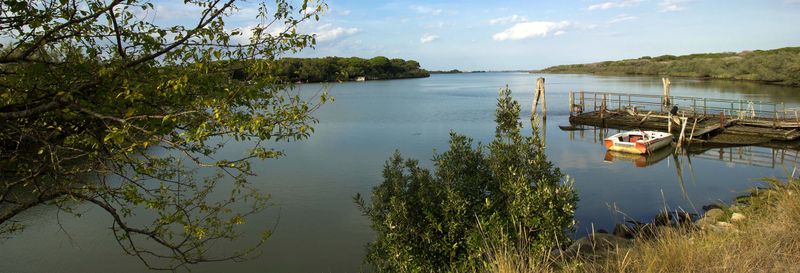 Billet Balade en bateau dans la réserve naturelle du Po di Volano