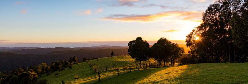 Billet Visite des vignobles du Mont Tamborine