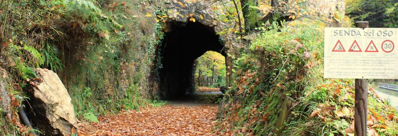 Billet Balade à vélo à la Senda del Oso