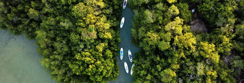 Billet Paddle dans les mangroves de Progreso + Club de plage