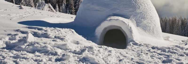 Billet Balade en raquettes à neige + Construction d'un igloo