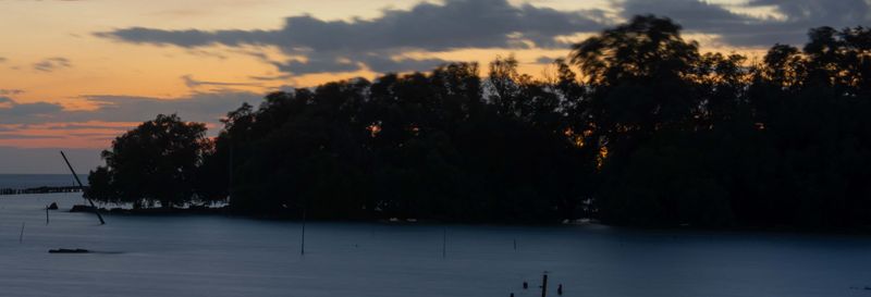 Billet Balade en bateau dans les mangroves de nuit